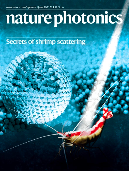 Palmer Nature Photonics June 2023 Cover