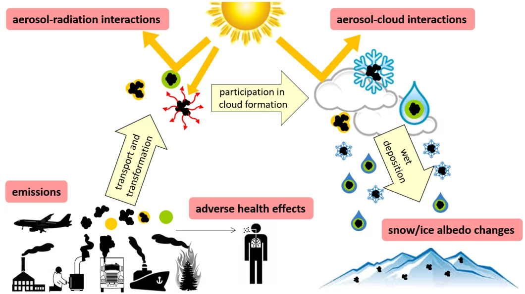 Atmospheric black carbon affects climate and causes adverse health effects.