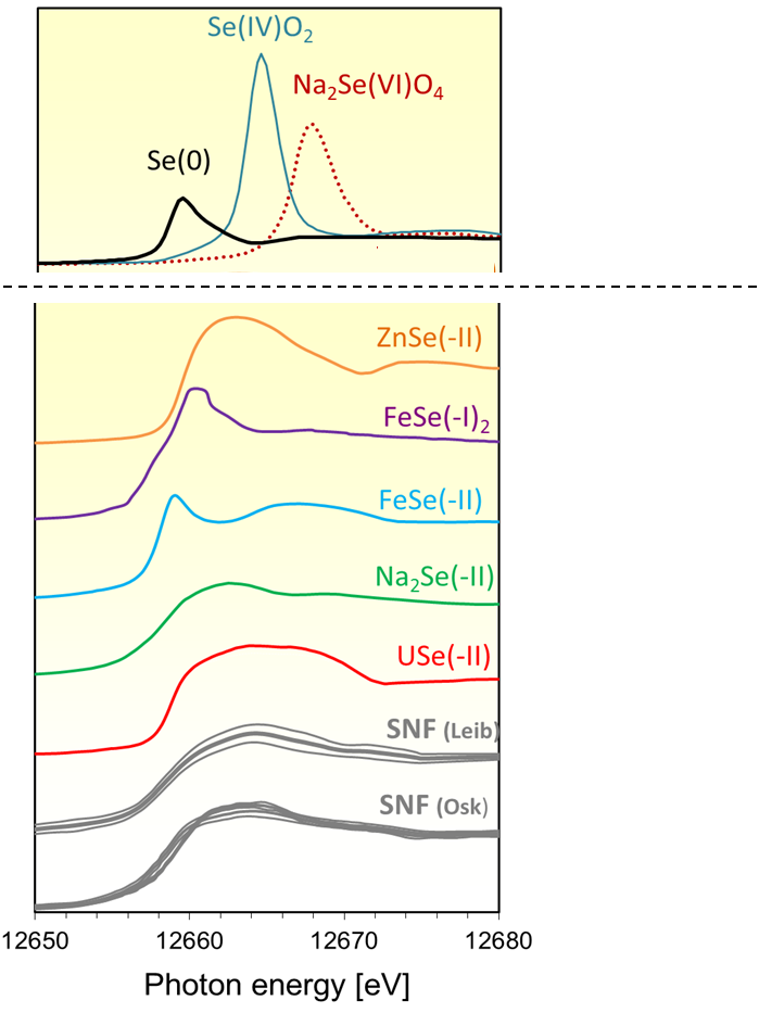 Figure 2: XANES obtained on the SF samples (in grey) compared with experimental spectra of reference compounds of selenium.