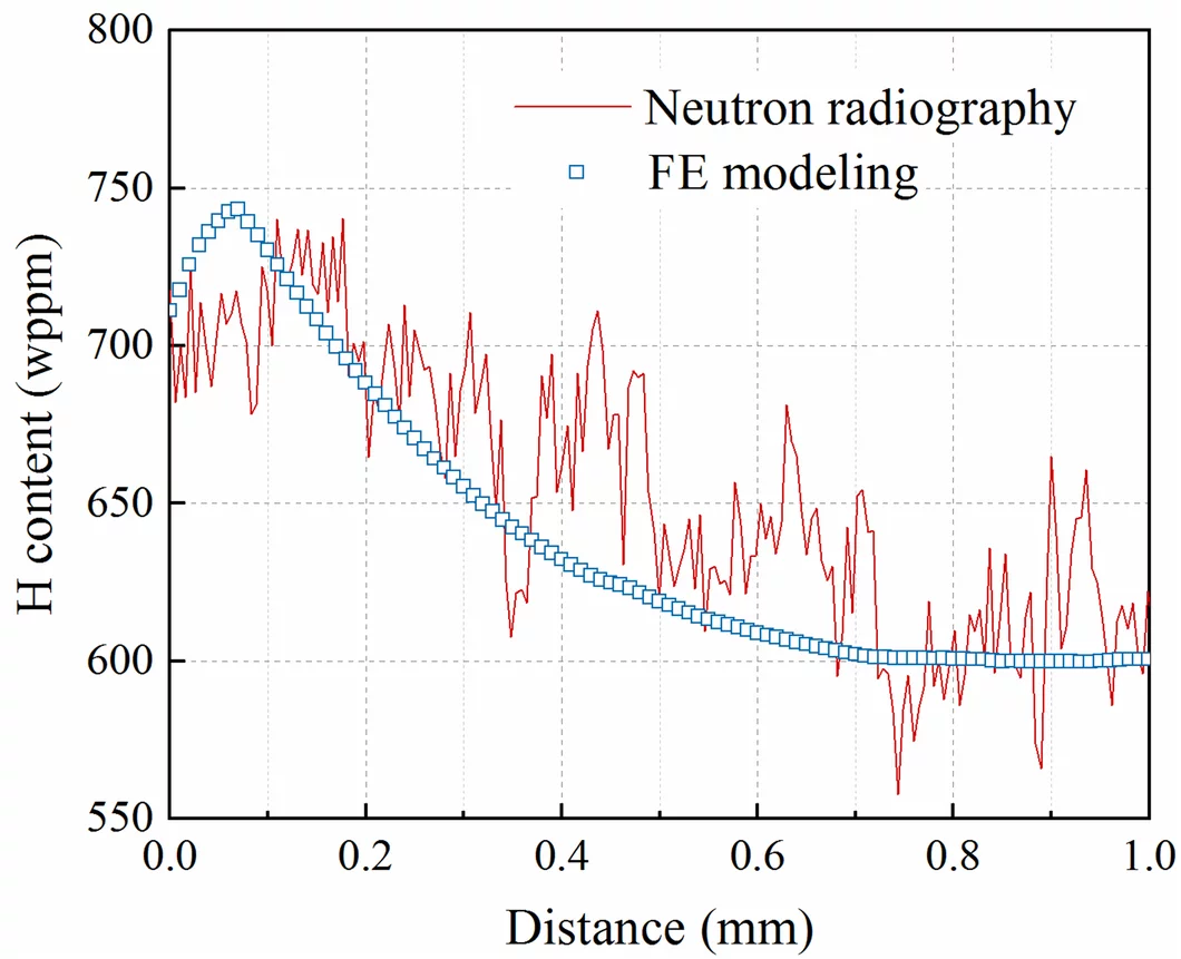 Figure 2: Comparison of the modeling result with the measurement of neutron radiography.
