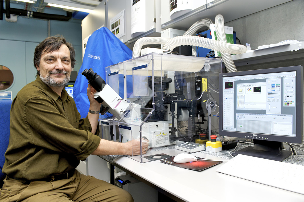 Kurt Ballmer-Hofer au microscope dans le laboratoire de biologie de l'Institut Paul Scherrer. (PSI/F. Reiser)