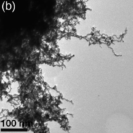 Electron microscope image of the platin/palladium aerogel (alloy  ratio: 50% platine, 50% palladium). Copyright Wiley-VCH Verlag GmbH & Co. KGaA. Reproduced with permission.