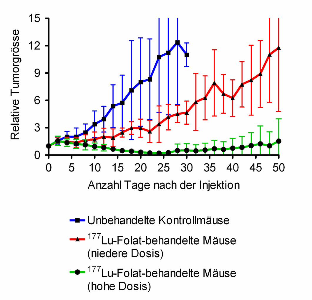 Das am PSI entwickelte Lutetium-Folat bremst das Tumorwachstum bei Mäusen. Veränderung der Tumorgrösse: blau: unbehandelt, rot: mit niedriger Dosis behandelt, grün: mit hoher Dosis behandelt.