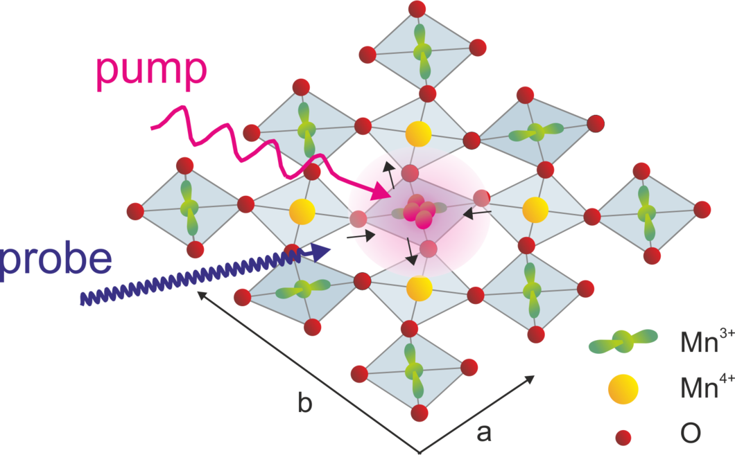 A time-dependent order parameter for ultrafast photoinduced phase transitions.