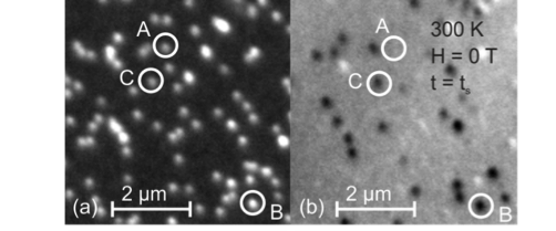 Direct Observation of Magnetic Metastability in Individual Iron Nanoparticles.