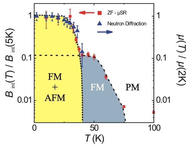 Temperature dependence of the normalized internal magnetic field Bint(T)/Bint(5K) as derived from ZF-μSR muon spin relaxation measurements with low energy muons implanted with 4.1 keV into a 56-nm-thin (110) LuMnO3 thin film. For comparison, the normalized magnetic moment μ(T)/μ(2K) vs T is shown (blue triangle), with µ being proportional to the square root of the integrated neutron intensity. The black dashed lines for the FM and AFM phase are a guide to the eye but also indicate how the temperature depen…