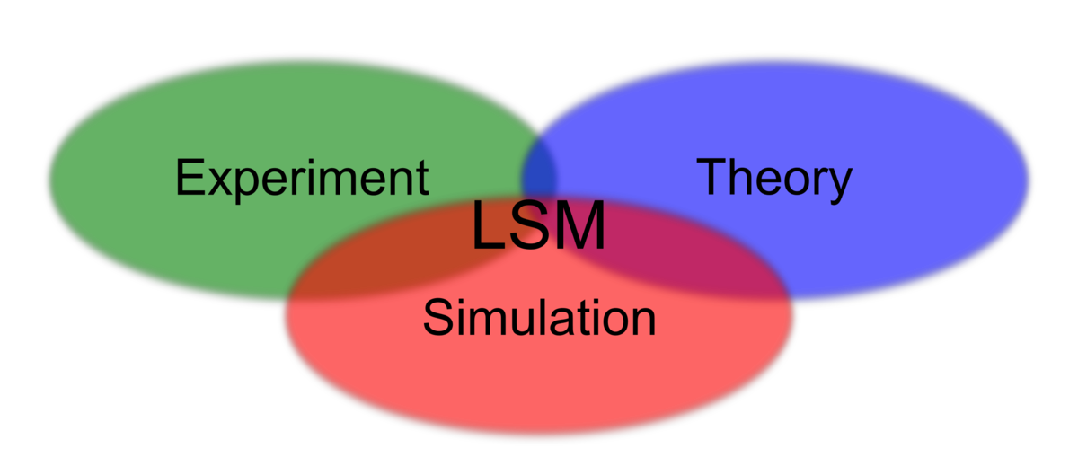 Vision LSM