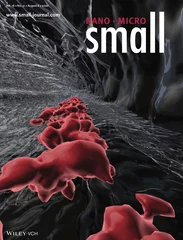 Cover art of Small 16(33)