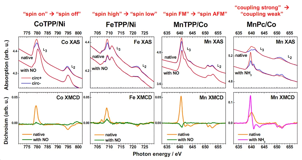 Fig. 2 XAS/XMCD showing the different novel magnetochemical effects observed on surface: 'spin on' to 'spin off', 'spin high' to 'spin low', 'spin FM' to 'spin AFM' and 'coupling strong' to 'coupling weak'.