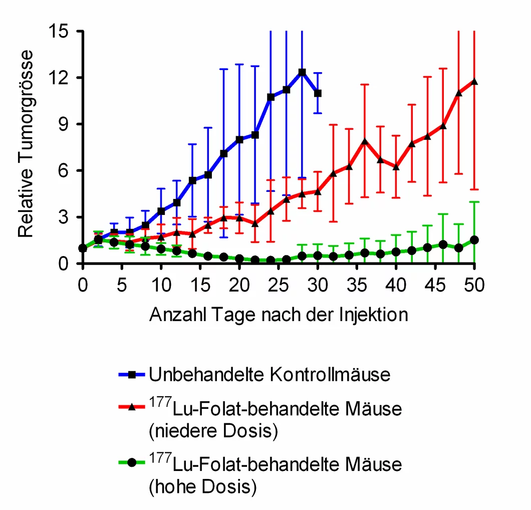 Das am PSI entwickelte Lutetium-Folat bremst das Tumorwachstum bei Mäusen. Veränderung der Tumorgrösse: blau: unbehandelt, rot: mit niedriger Dosis behandelt, grün: mit hoher Dosis behandelt.