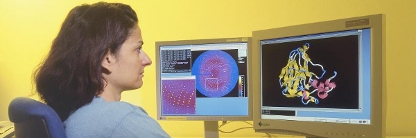 ITinDerForschung600x200.jpg ITinDerForschung600x200.jpg