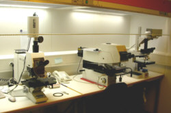 Characterization microscopes.jpg