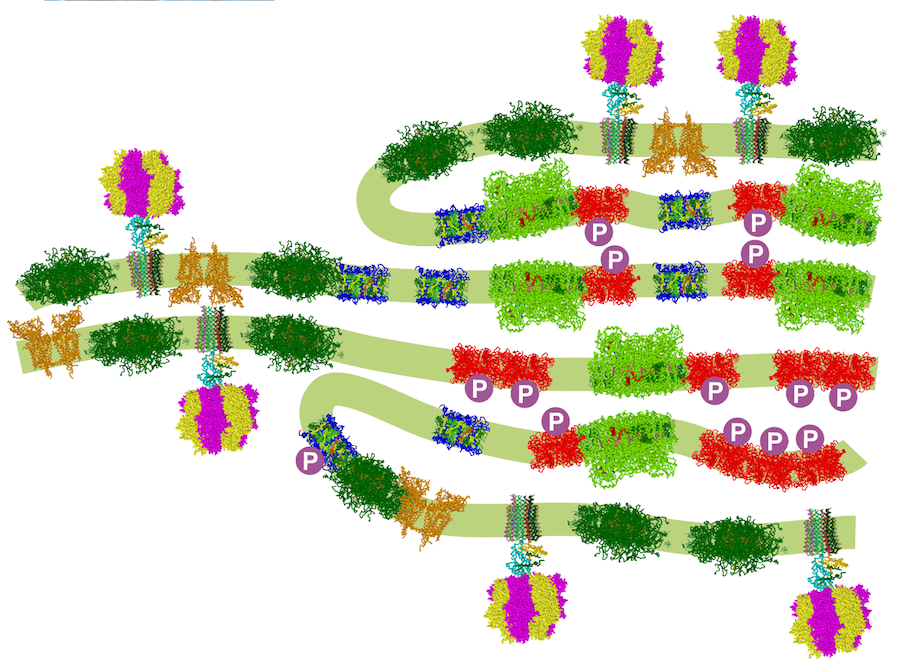 pnas111.png