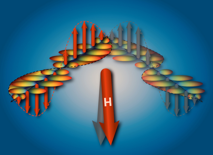 naturephys.jpg