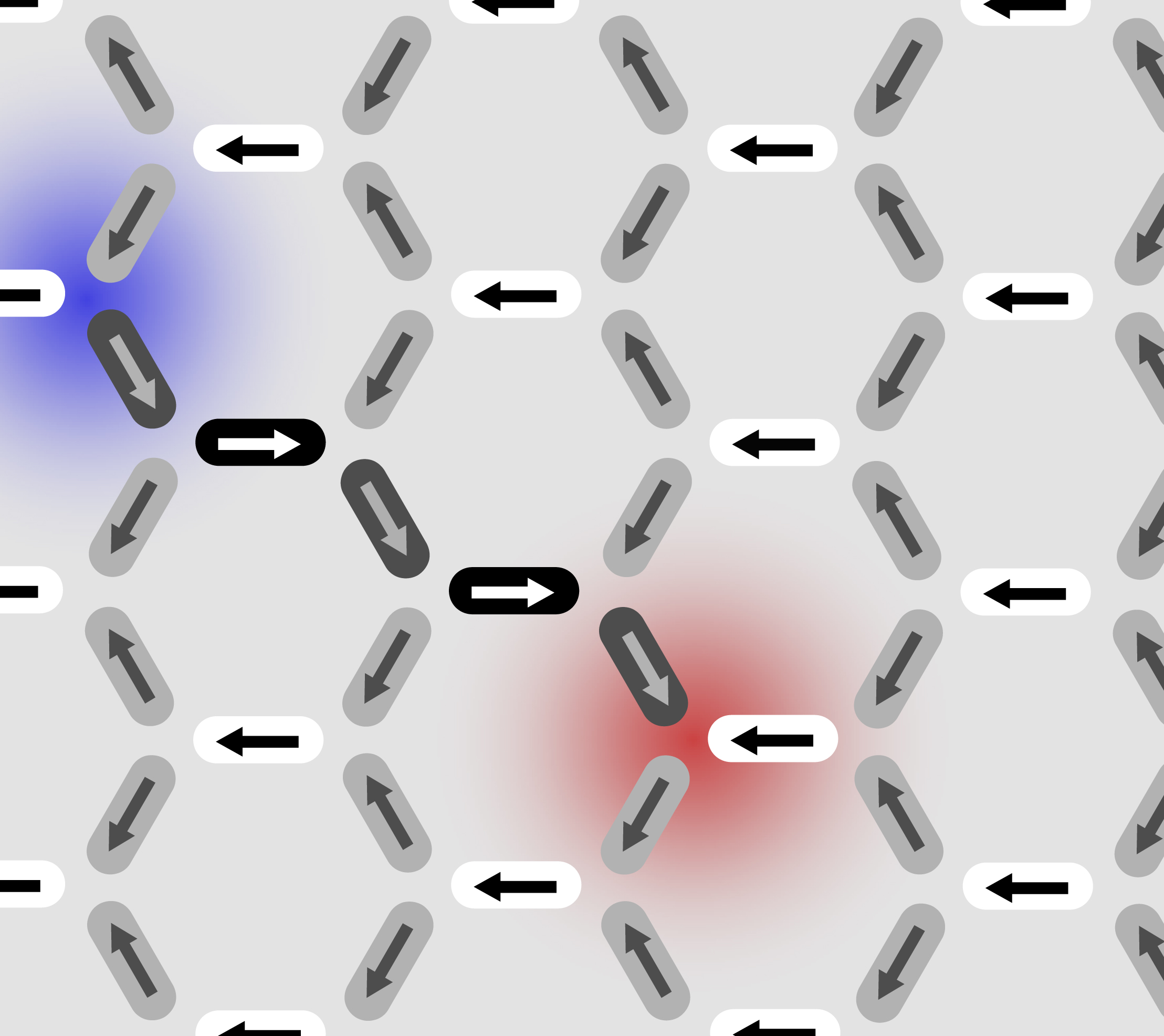 Monopole auf Wanderschaft Paul Scherrer Institut (PSI)