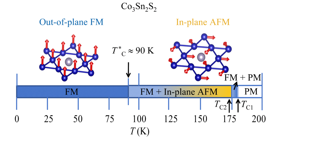 The temperature-dependent spin structure of Co3Sn2S2
