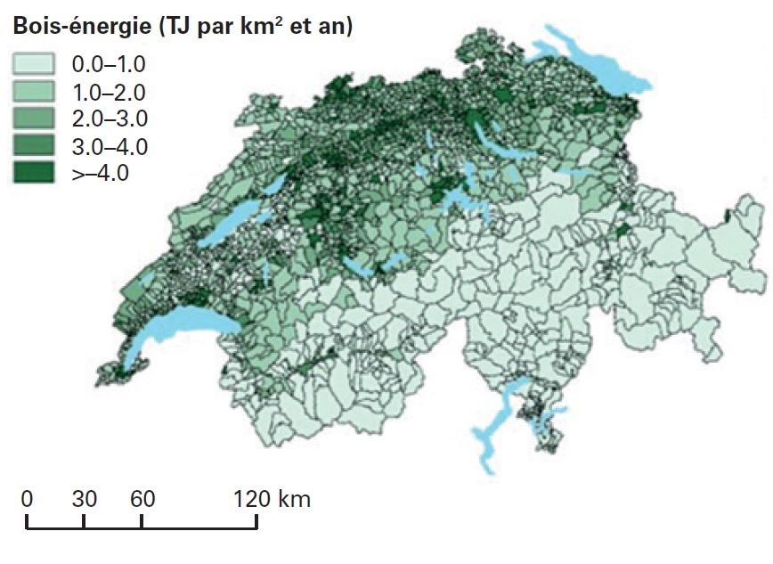 La carte indique la quantité de bois-énergie qu'il est possible d'obtenir de manière économique et écologiquement durable dans chaque commune. Elle peut être consultée sur map.geo.admin.ch sous «Biomasse ligneuse». 