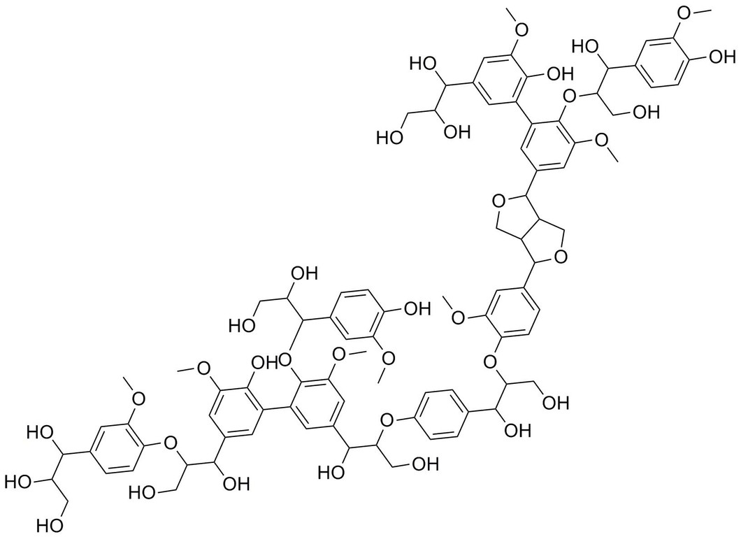 Figure 1: Example for the molecular structure of lignin