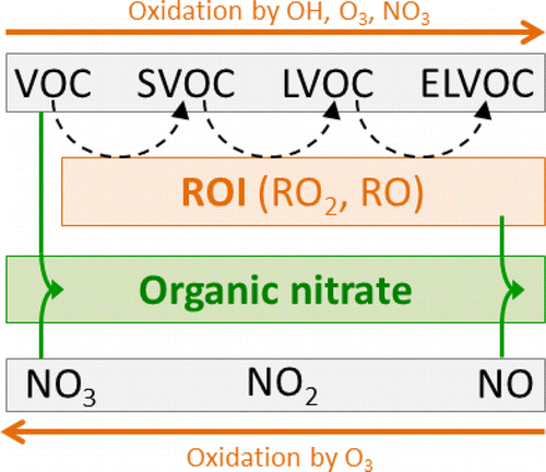 The results indicate a way with which nitrogen oxides deriving from human activities may boost secondary organic aerosol production from biogenic volatile organic compounds.
SVOC and LVOC: volatile organic compounds. 
LVOC and ELVOC: extremely low volatility compounds
ROI:  reactive oxygen intermediates