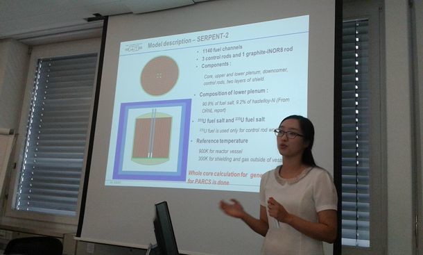 FAST in August 2015 (PSI Villigen). Hyemin Kim defends her MS thesis 'Static and transient analysis of Molten Salt Reactor Experiment using SERPENT-2/TRACE/PARCS codes'.