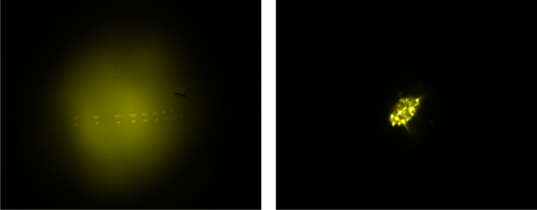 FIeld emission beam generated by double-gate FEA. (Left) Uncollimated beam. (Right) Collimated beam (small spots show x10 collimated beamlets from separate emitters