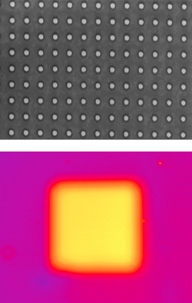 SEM image of a dye-coated ZnO nanopillar array on a glass slide (top). High enhancement of a fluorecence intensity is observed in the structured region (bottom).