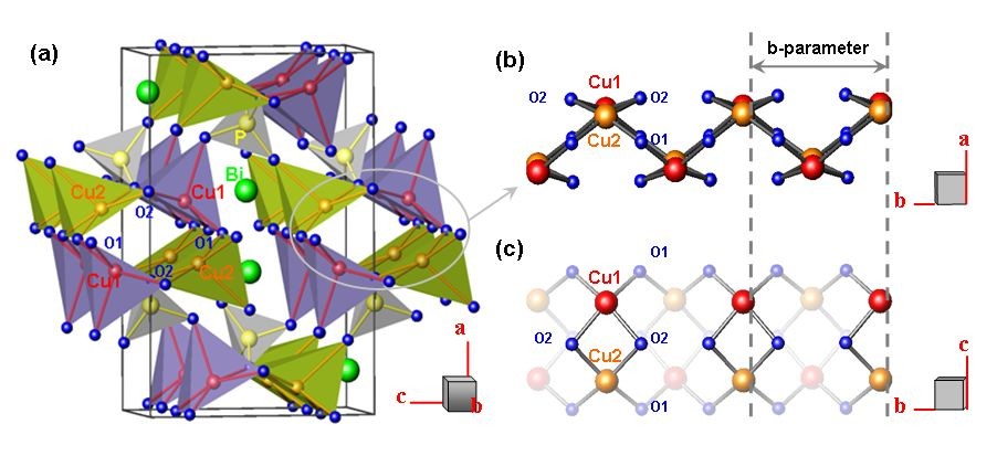 Fig. 3 (a) Crystal structure of BiCu2PO6; (b), (c) the coupled two-leg zigzag ladders formed by two different Cu [Cu1 (red) and Cu2 (orange)] and O [O1 and O2] atoms run along the crystallographic b-axis.