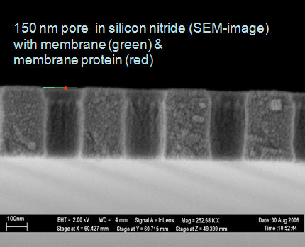 Suspended bilayer in a nanopore