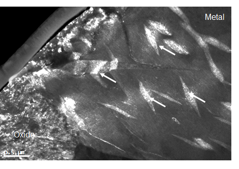 TEM dark field contrast of the metal-oxide interface of LK3/L cladding grade irradiated for 7 cycles in the BWR, indicating the hydrides(arrows) in the metal side of the interface. Abolhassani et al. (2013).
