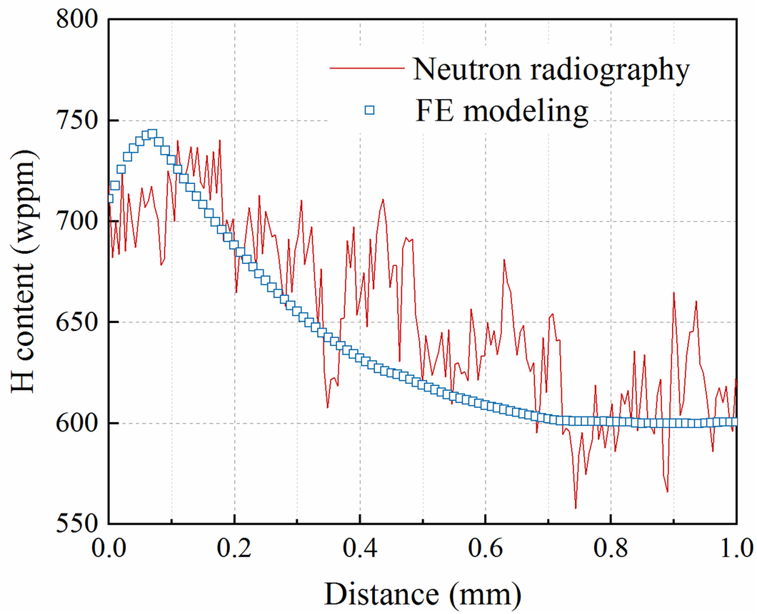 Figure 2: Comparison of the modeling result with the measurement of neutron radiography.