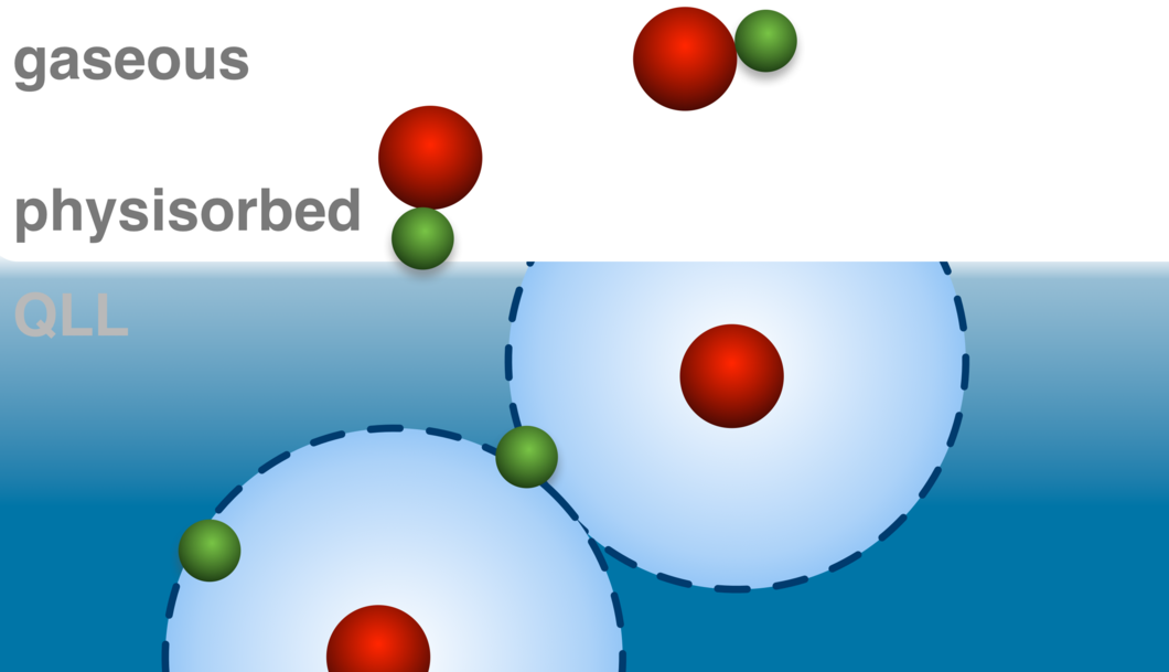 Illustration of the emerging picture of the adsorption of acids to ice surfaces in presence of a quasi-liquid layer (QLL). The coexistence is not simply driven by the dissociation equilibrium in analogy to the liquid bulk phase, but rather it reveals a Janus type behavior of the acid: the physisorbed form does not readily dissociate, and dissociation only takes place at a distinct location deeper within the air – ice interface where sufficient water molecules are available to solvate the ions and thus favo…