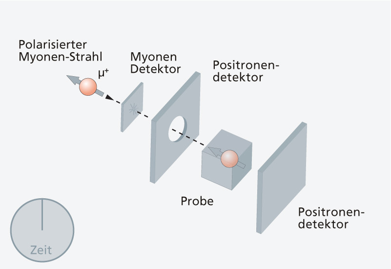 1. Polarisierte Myonen werden in die Probe hineingeschossen. 