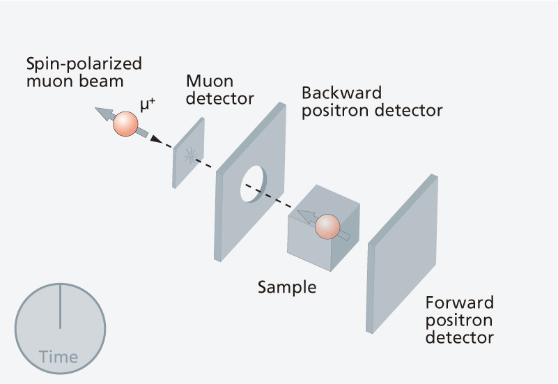 1. Polarised muons are fired into the sample.