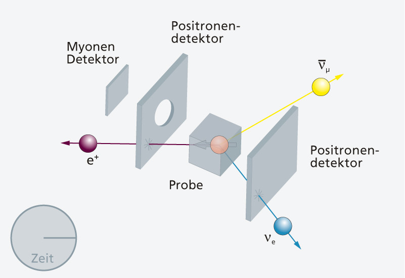3. Das Myon zerfällt in drei Teilchen – das Positron (e+) fliegt in Richtung des magnetischen Moments des Myons.