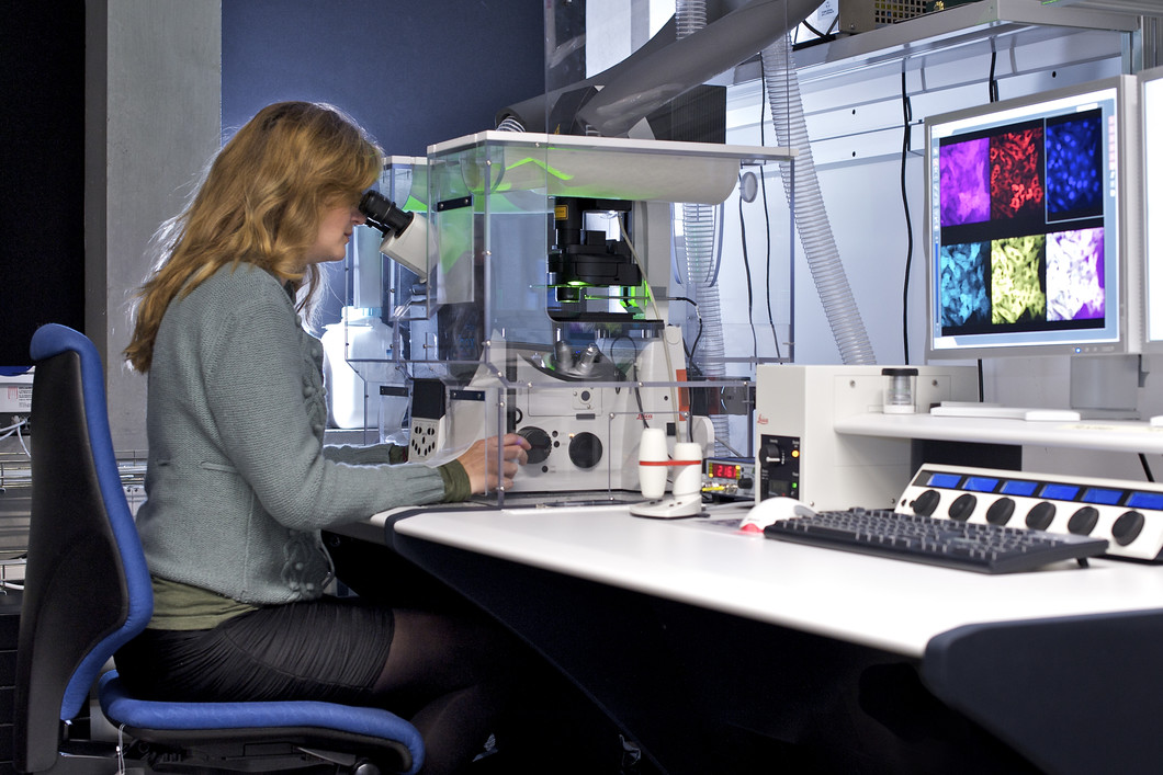 Aufnahme im Mikroskopie-Labor der Molekularen Zellbiologie. Die Doktorandin Andrijana Kriz beobachtet durch das konfokale Mikroskop ihre Säugerzellen, die mehrere fluoreszierende Proteine herstellen.