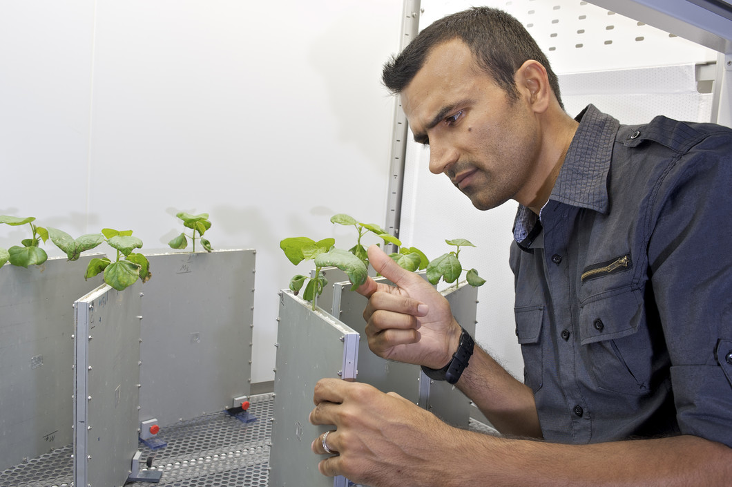Ahmad Moradi devant la chambre climatique dans le hall expérimental du la source de neutrons SINQ au PSI. Ici, les plantes sont cultivées dans des conditions naturelles pour les expériences. (Photo: PSI/M. Fischer)