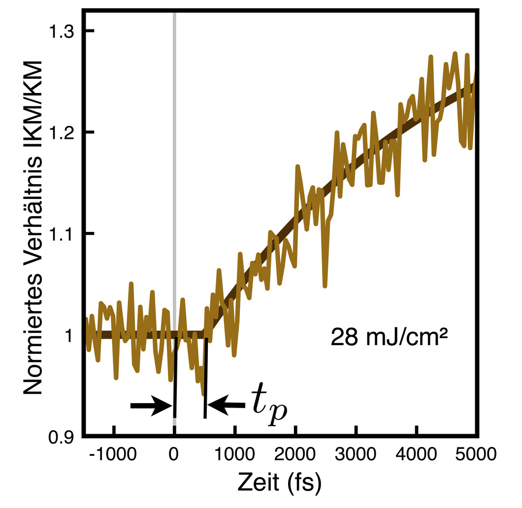 Veränderung der magnetischen Strukturen von CuO im Zeitverlauf – beim Wert 1 ist deutlich mehr von der Tieftemperaturstruktur (KM) vorhanden, für höhere Werte gibt es einen immer grösseren Anteil der zweiten Struktur (IKM). Die braune Kurve zeigt die tatsächlichen Messwerte, die schwarze den daraus abgeleiteten Verlauf. Bei der Zeit 0 erhitzt der Laserblitz die Probe; die neue Struktur tritt aber erst 400 Femtosekunden später erstmals auf (tp). S. L. Johnson et al. Phys. Rev. Lett. 108, 037203 (2012) © 201…