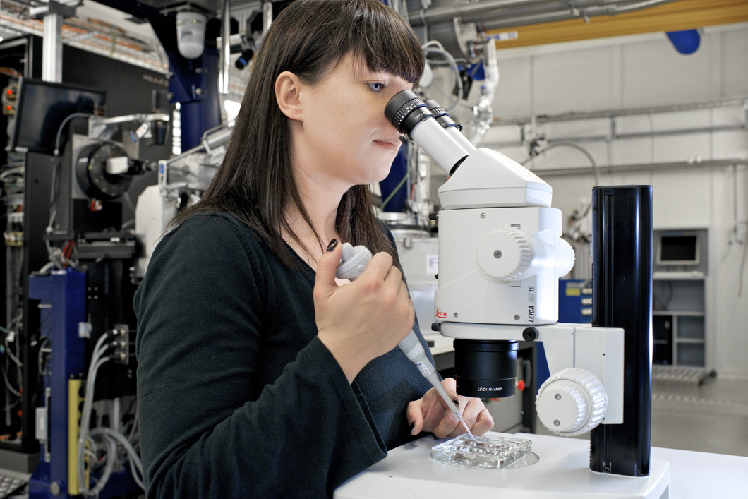 Katja Bargsten, laborantine,  effectue la culture des cristaux de protéines afin de s'en servir pour déterminer  leur structure. (Photo: Paul Scherrer Institut/Markus Fischer)