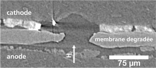 La membrane, prise en étau entre la cathode et l’anode, avec une défectuosité typique (à droite de l’image), rendue visible grâce à la microtomographie aux rayons X au terme d’un cycle complet de dégradation, combustion incluse.
