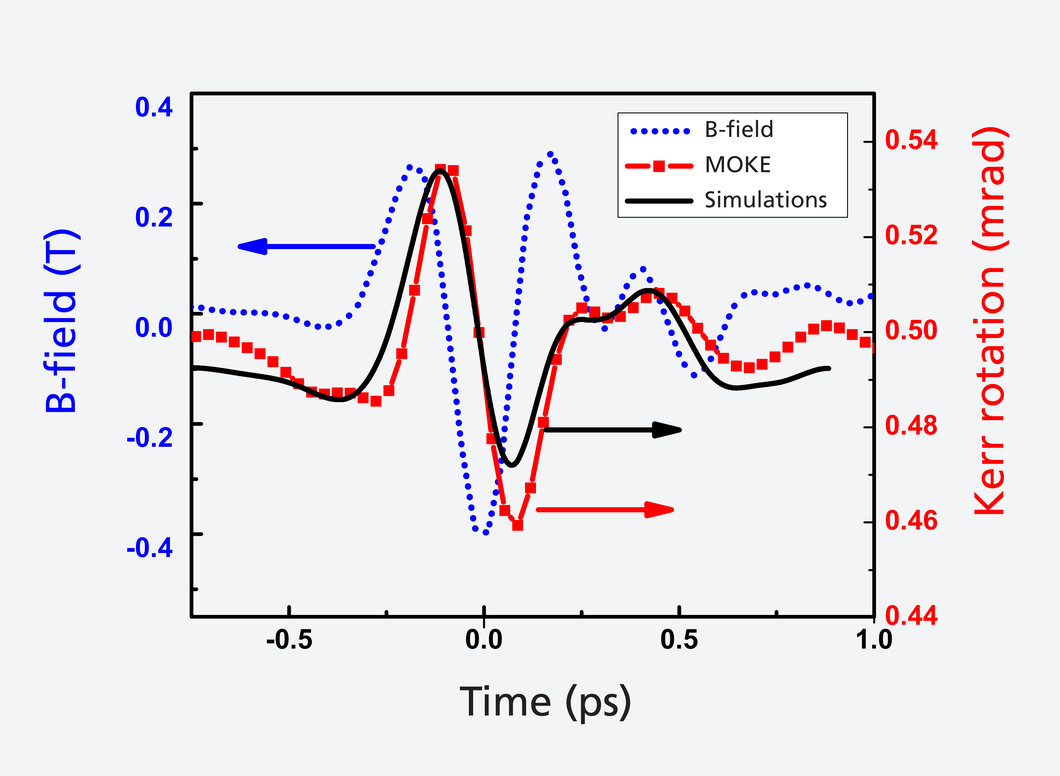 A pulse from a terahertz laser (blue) controls the magnetisation of a material: the magnetisation (red - determined via the magneto-optic Kerr effect MOKE)
 follows the laser pulse’s magnetic field with a slight delay. The black curve shows the prediction of a computer simulation.