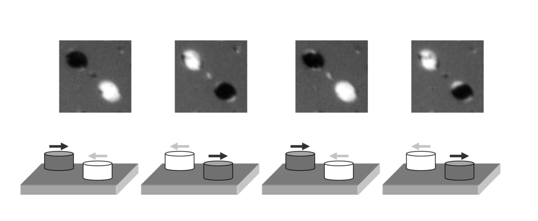 Images d'une microstructure magnétique – d'un image à l'autre, la magnétisation de deux petits aimants de deux micromètres a été inversé à l'aide d'une courte impulsion laser. Ce processus peut être répété aussi souvent que désiré. La couleur - noir ou blanc - représente la direction de la magnétisation (la direction correspondante est indiquée dans la rangée inférieure). Les images ont été prises avec le microscope à rayons X à la Source de Lumière Suisse SLS de l'Institut Paul Scherrer PSI.