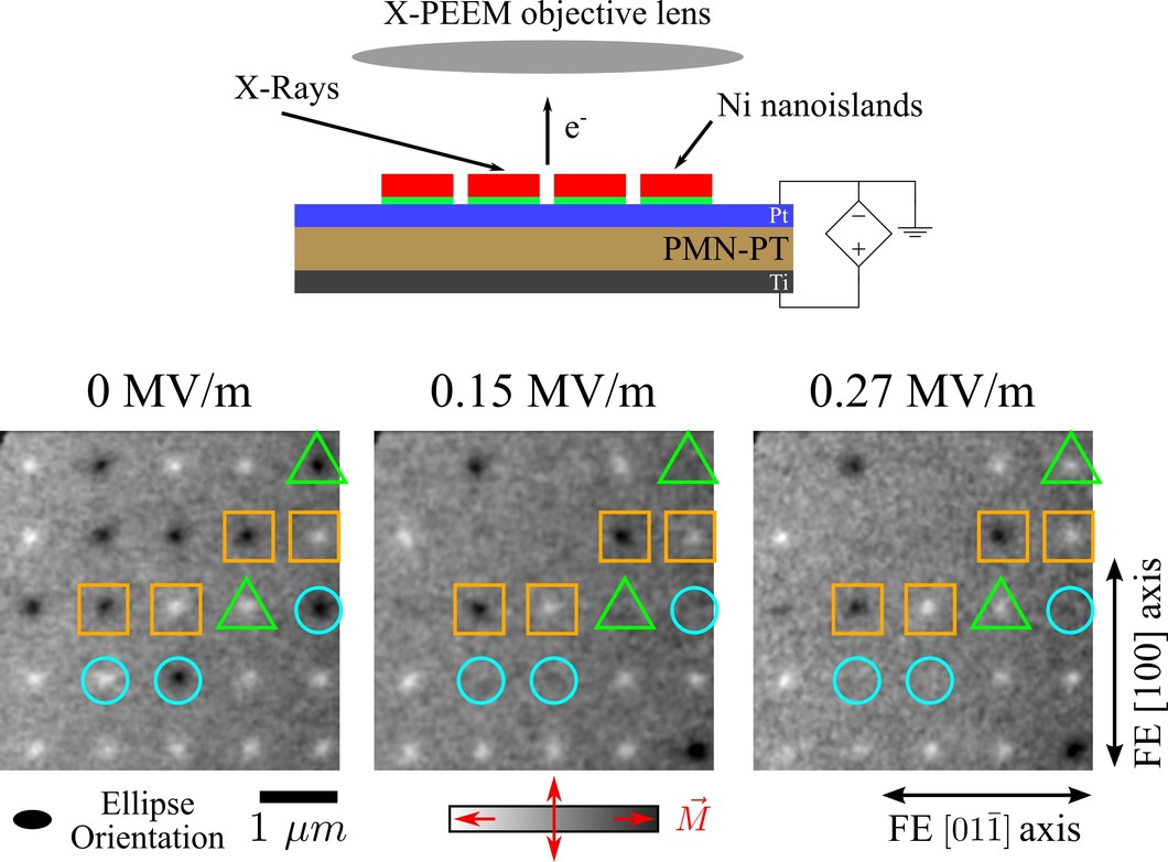 (top) Schematic view of the X-PEEM experiment with in-situ applied electric fields performed at the SIM beamline of the Swiss Light Source. (bottom) X-PEEM images of an array of nickel nanoislands showing a uniform 90° in-plane magnetization reorientation (highlighted with blue circles).