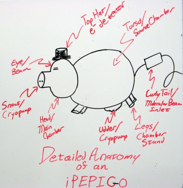 Detailed anatomy of the iPEPIGO endstation
