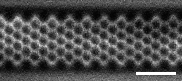 9-atom wide armchair graphene nanoribbon obtained from on-surface synthesis of molecular precursor. Non-contact atomic force microscopy frequency shift image recorded with CO-functionalized tip. Scale bar: 1 nm.