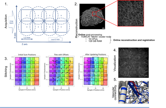 A schematic overview of the project: from image acquisition to processing of TB-sized dataset of the mouse brain.