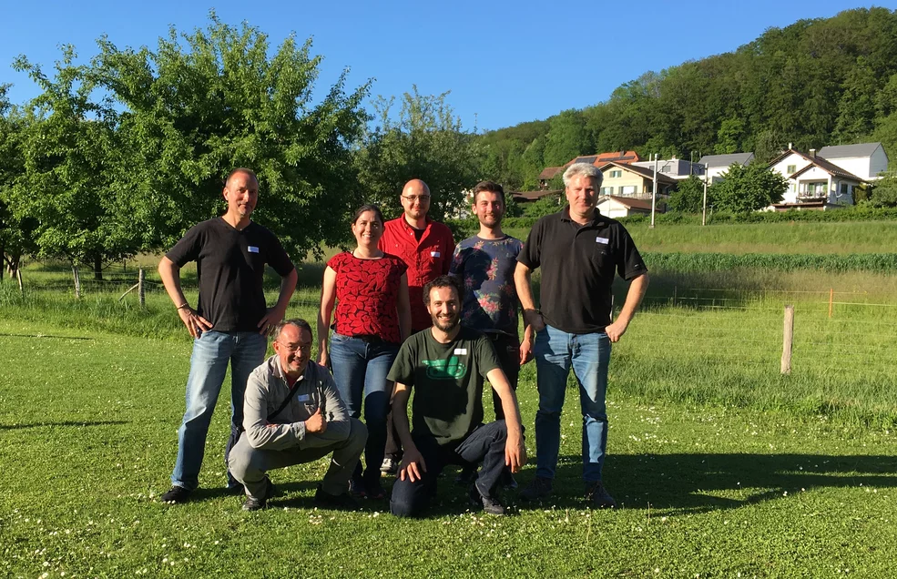 MS group