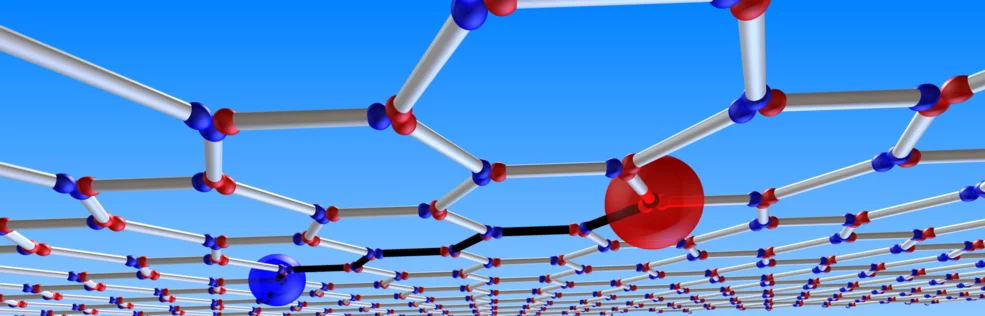 NUM Homepage magnetic monopoles