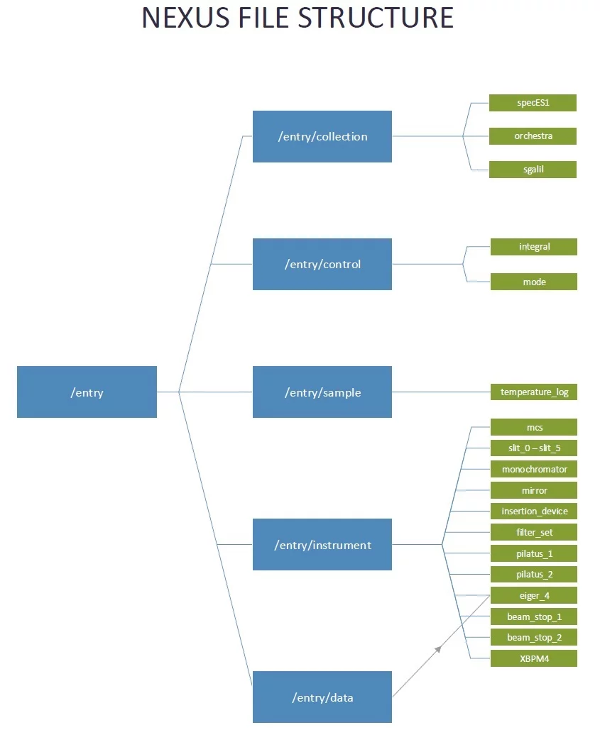 NeXus Layout