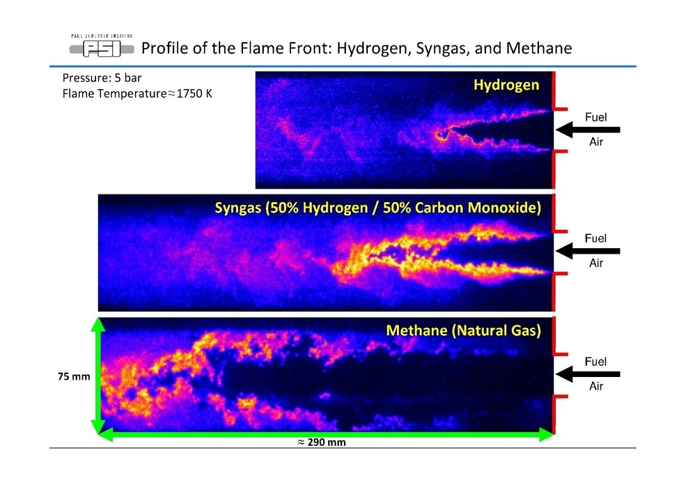 Profile of the Flame Front: Hydrogen, Syngas, and Methane