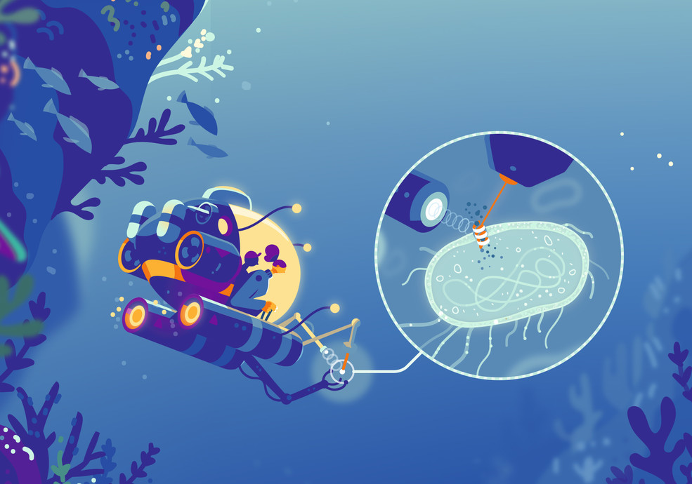 An einem Meeresbakterium studieren Forschende die Funktionsweise einer Natriumpumpe. 
